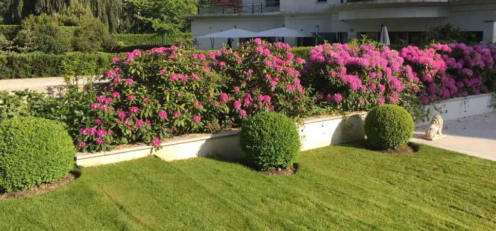 Jardin client épanoui — résultat d'un suivi Leclerc Paysage