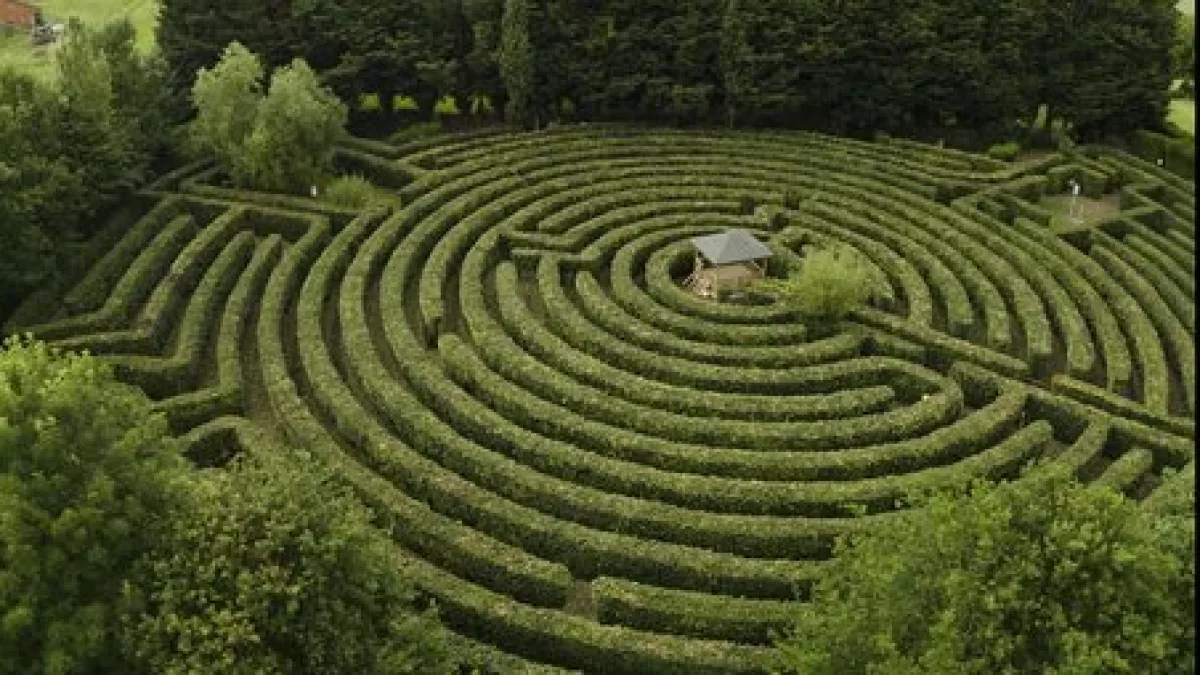 Les labyrinthes de verdure : histoire, formes et usages